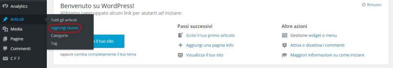 come pubblicare un articolo su wordpress