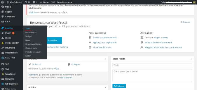 installare un tema su wordpress